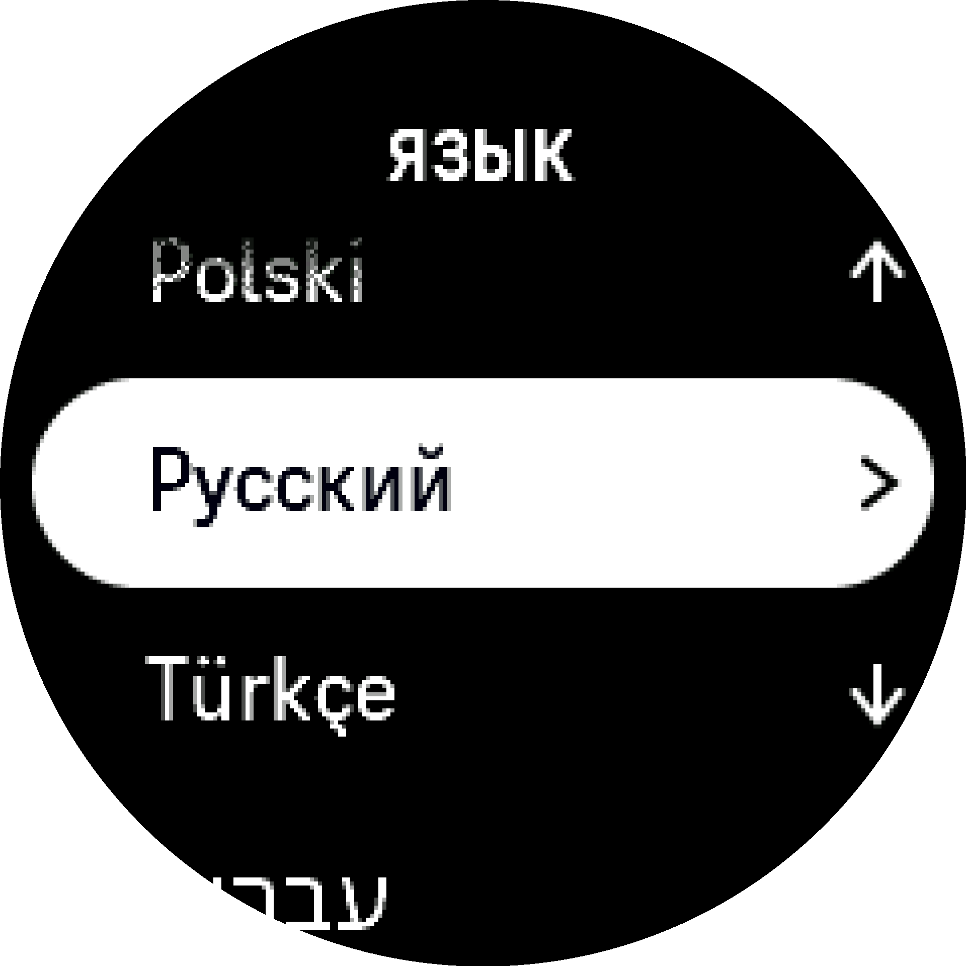 Выберите язык S9PP