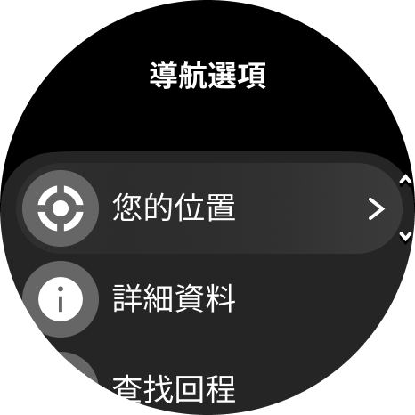 導航選項 Phoenix