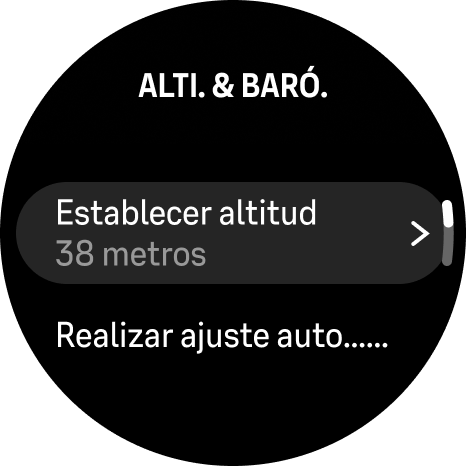 alti baro