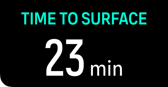switch window configure tts