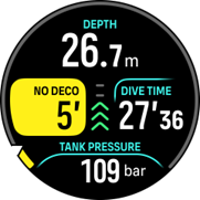 免減壓時間 5 分鐘